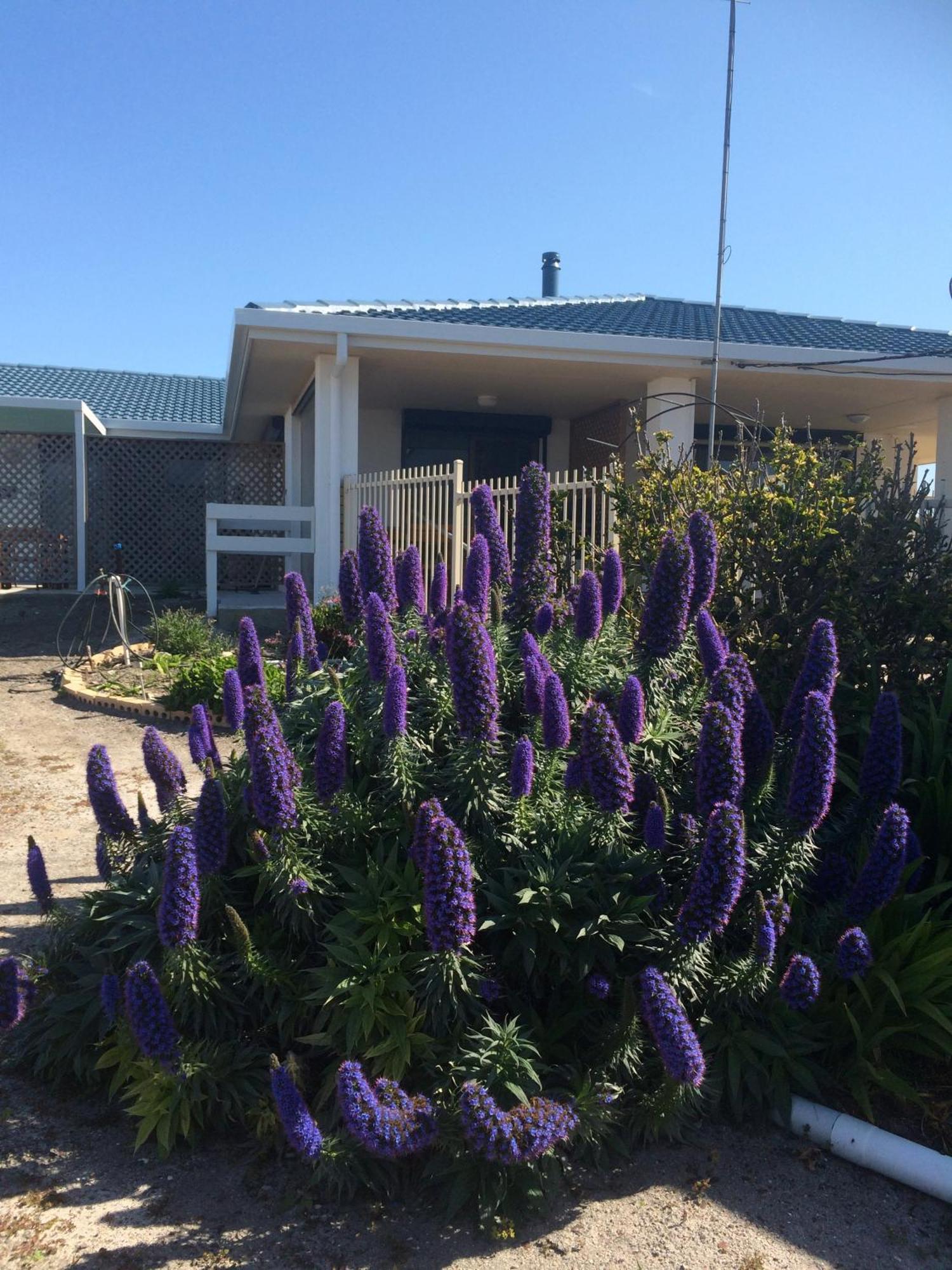 Salty Air Apartments Kingscote Kangaroo Island エクステリア 写真